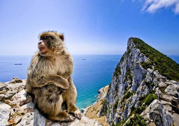 Gibraltar and Vejer: Private Day Trip From Seville - Good To Know