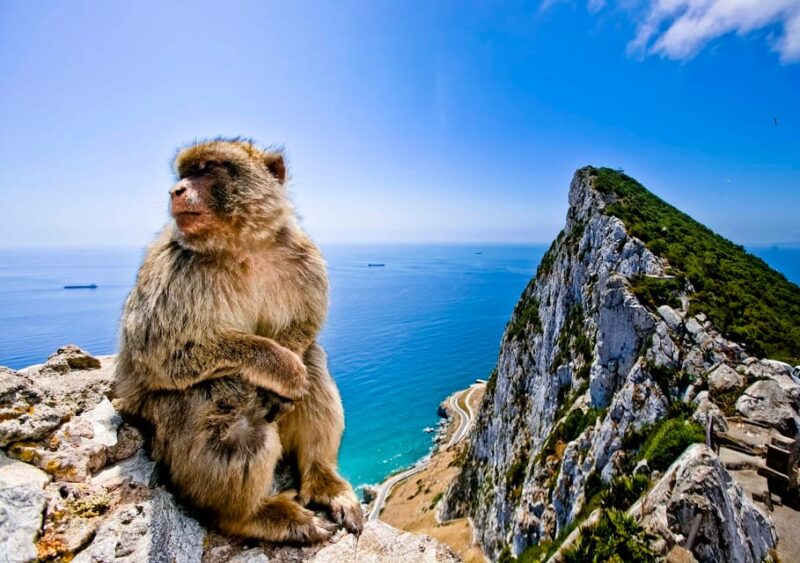 Gibraltar and Vejer: Private Day Trip From Seville - Exploring Vejers Architecture