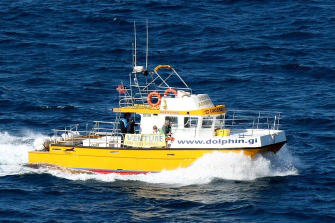Gibraltar Dolphin Adventure - Discovering the Dolphin Habitat