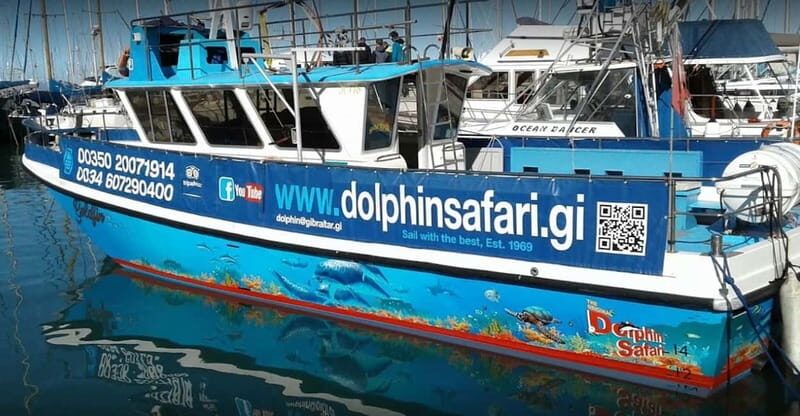 Gibraltar: Dolphin Watching Boat Tour V.I.P - Key Points