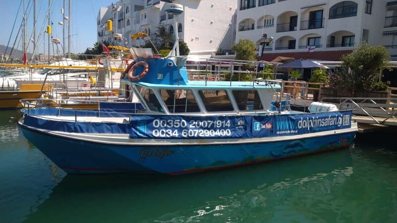 Gibraltar: Dolphin Watching Boat Tour V.I.P - Authentic Reviews: What Travelers Say