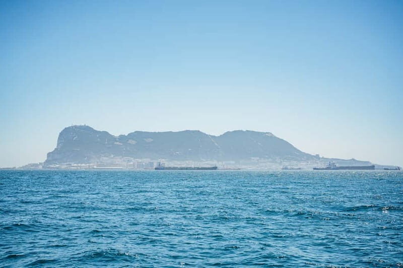 Gibraltar: Dolphin Watching Tour - Who Will Love This Tour
