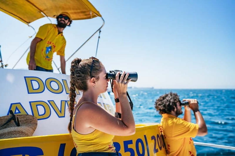 Gibraltar: Dolphin Watching Tour - The Sum Up
