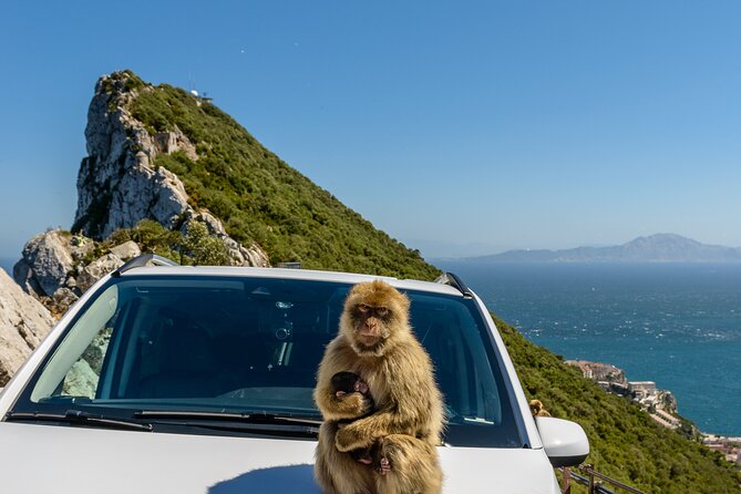 Gibraltar Full Day Tour Ultimate Tour 7hrs - Highlights of the Tour