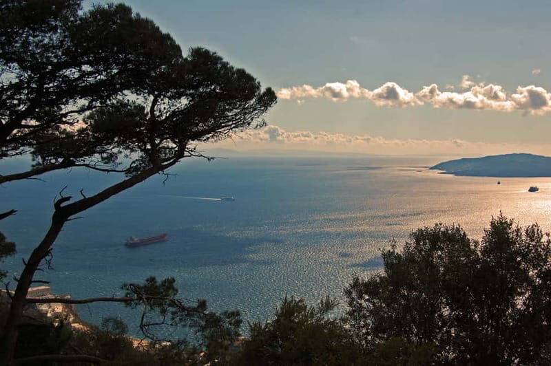 Gibraltar: Guided Tour by Bus Including Tickets - Exploring Gibraltar on a Guided Bus Tour: What You Need to Know