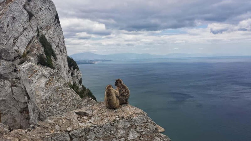 Gibraltar: Guided Tour by Bus Including Tickets - Final Thoughts