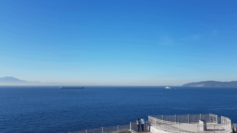 Gibraltar: Guided Tour From the Costa Del Sol - Key Points