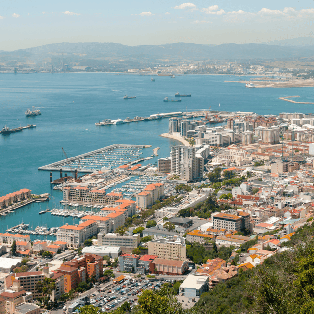 Gibraltar: Guided Tour From the Costa Del Sol - Itinerary and Highlights