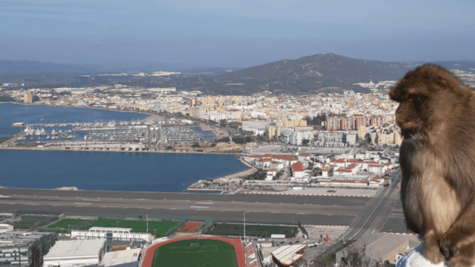 Gibraltar: Guided Tour From the Costa Del Sol - Customer Feedback and Ratings