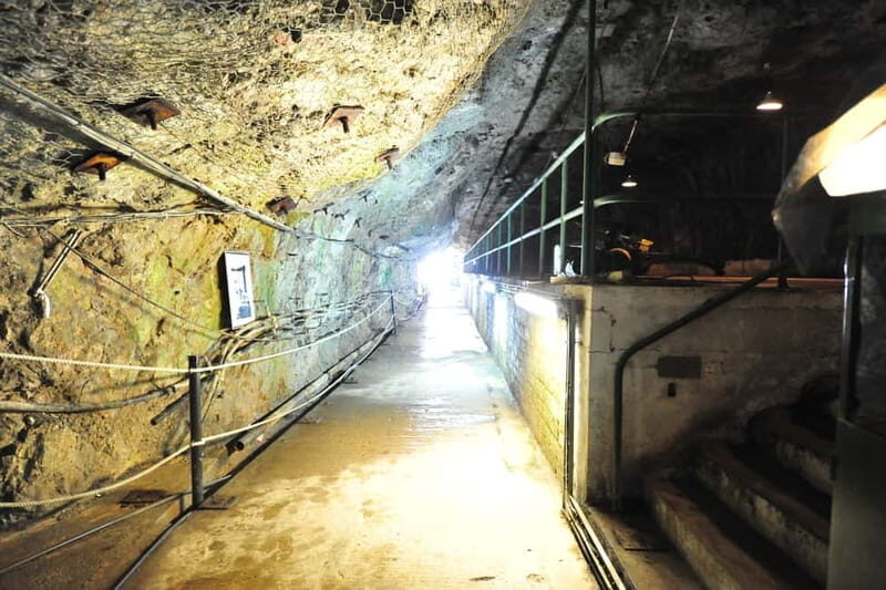 Gibraltar: Private Highlights Tour with Entry Tickets - The Sum Up