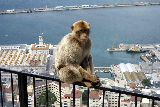 Gibraltar Sightseeing: Classic Rock Tour (Private) - Booking and Cancellation Policies