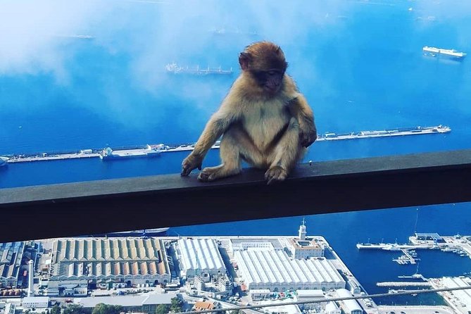 Gibraltar Sightseeing : Extended Rock Tour / Shore Excursion (Private) - Pricing and Cost Inclusions