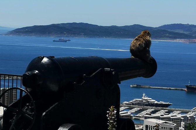 Gibraltar Sightseeing Private Full Day Shore Excursion - Price and Availability