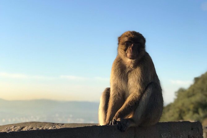 Gibraltar Sightseeing Tour With Monkeys and Panoramic Views - Discovering Gibraltars History