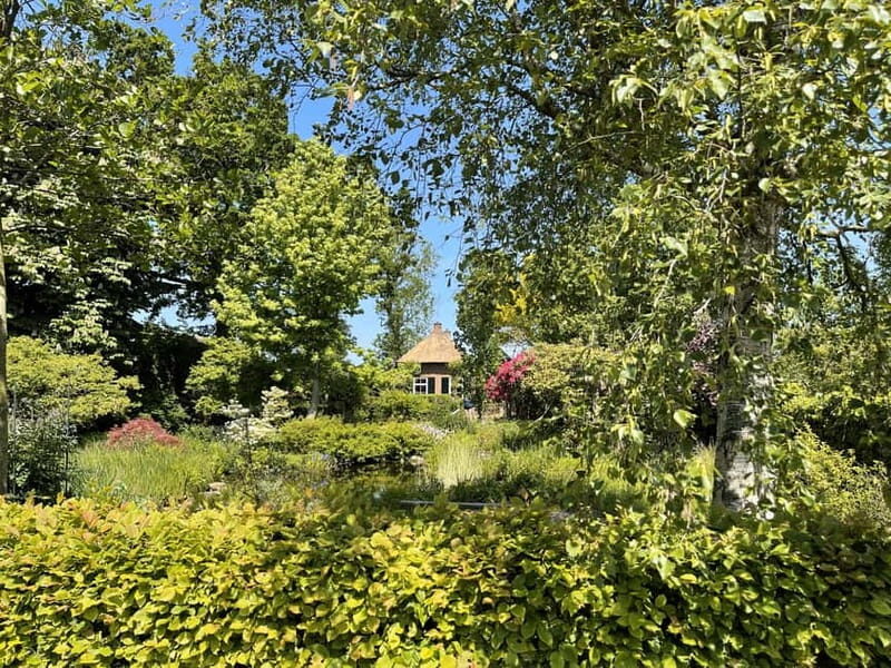 Giethoorn & Windmill Country  A Journey Through Old Holland - Discovering Old Holland in a Day