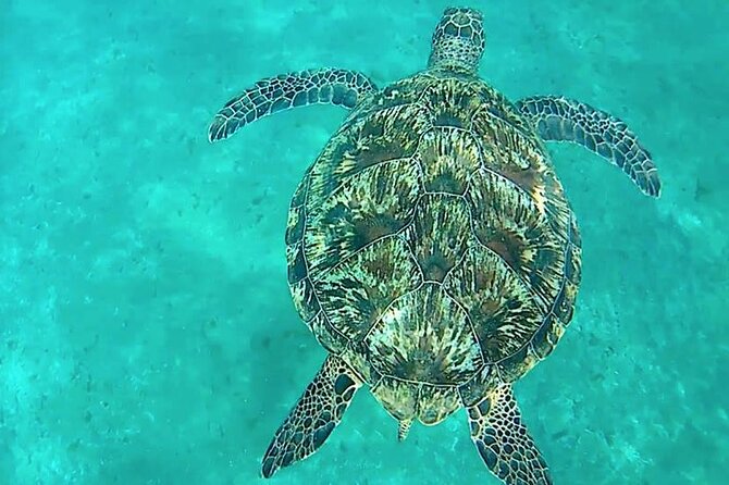 Giftun Island ( Orange Bay ) From Hurghada - Activities Available on the Island