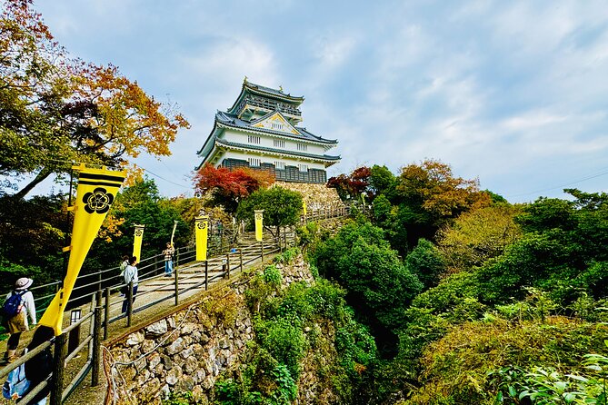 Gifu Half Day Private Tour Castle, Great Buddha and Old Town - Key Points