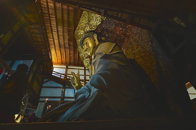 Gifu Half Day Private Tour Castle, Great Buddha and Old Town - Health and Accessibility