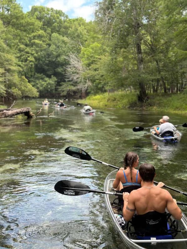 Gilchrist Blue: Clear Kayak Eco Tour - Key Points