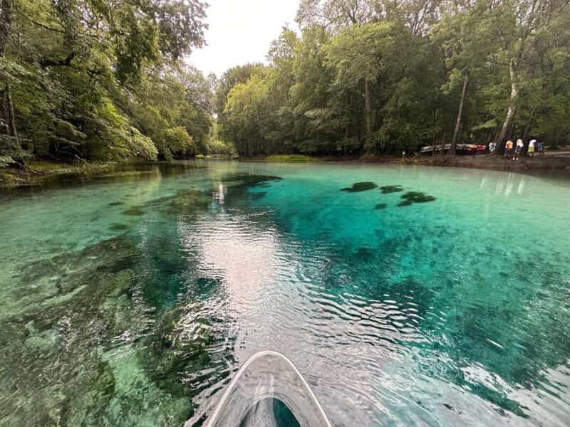 Gilchrist Blue: Clear Kayak Eco Tour - How the Experience Fits for Different Travelers