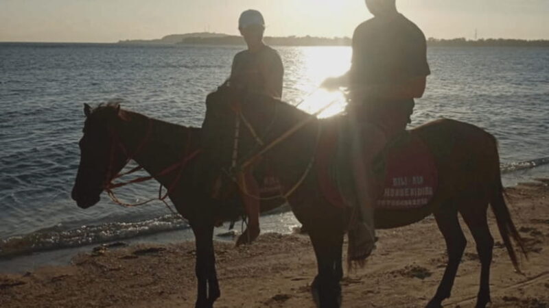 Gili Air: 1-Hour Horse Riding Adventure - Final Thoughts