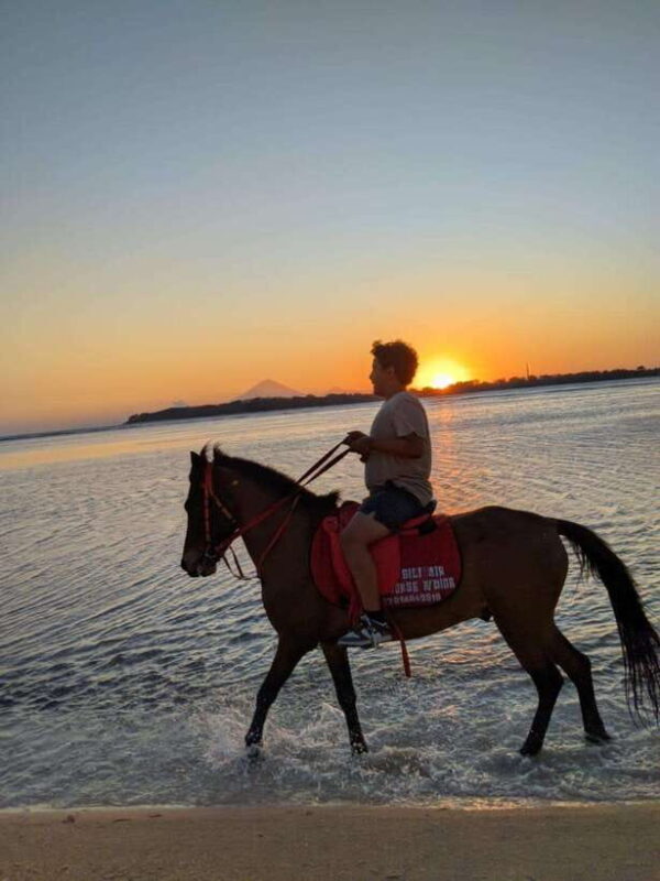 Gili Air: 1 Hour Horseback Riding With hotel Transfer - Who Will Love This Tour?