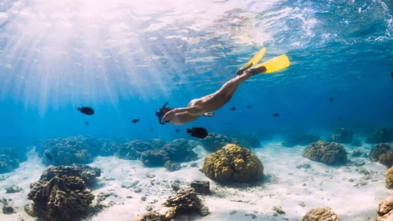 Gili Air: Private Snorkeling in 4 Spots with GoPro Camera - Who Will Love This Tour?