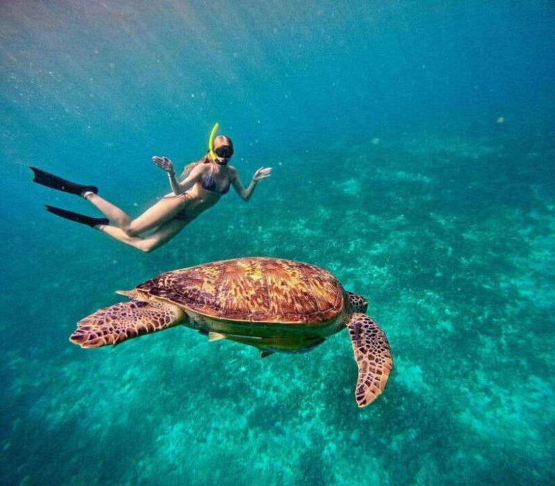 Gili Air: Snorkeling 3 Gili Islands with GoPro Camera - Key Points