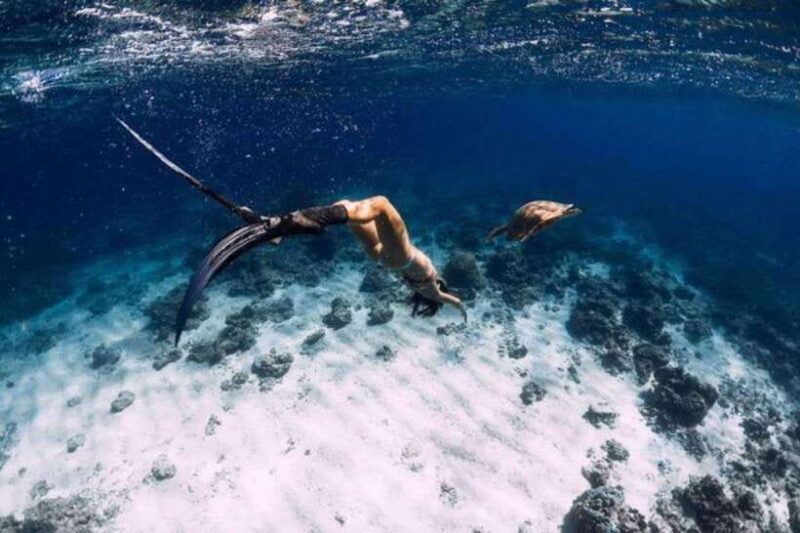 Gili Air: Snorkeling 3 Gili Islands with GoPro Camera - Final Thoughts