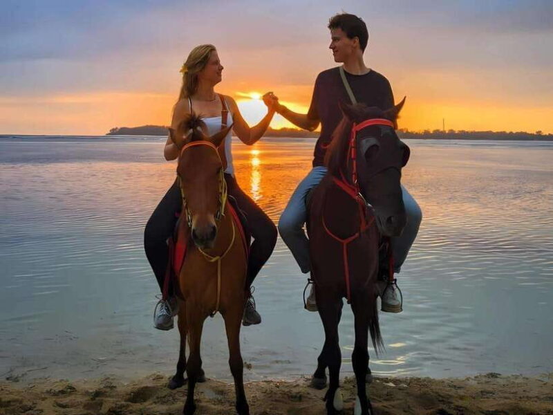 Gili Island : 1 Hour Beach Horseback Riding - Key Points