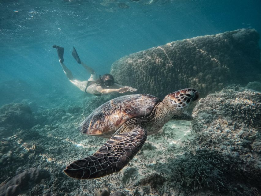 Gili Island: Group or Private Snorkeling Tour - Meeting Point and Location