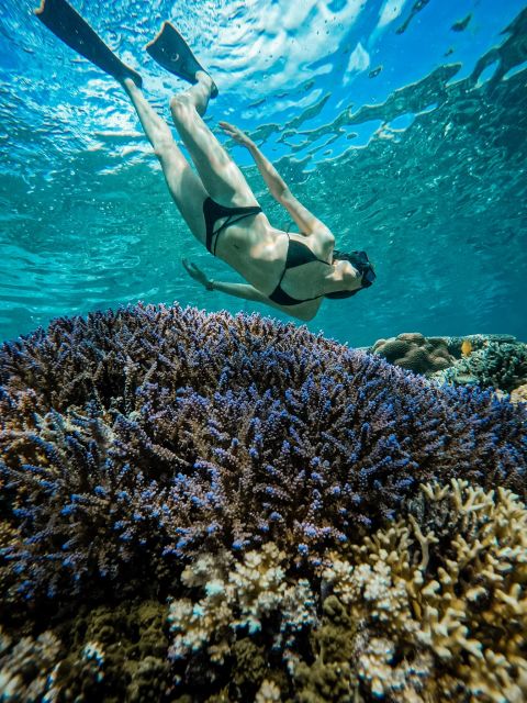 Gili Island: Group or Private Snorkeling Tour - Included Equipment and Amenities