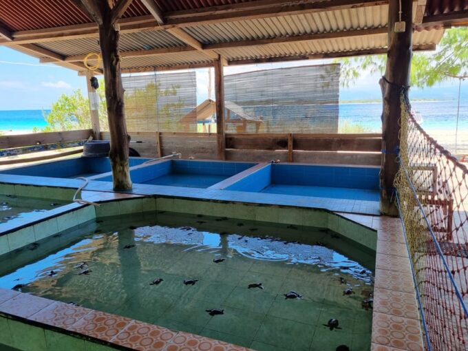 Gili Island Snorkeling: Gili Trawangan, Meno And Air - Pricing and Cancellation Policy