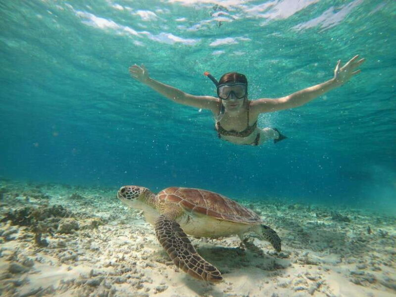 gili island: sunset and snorkeling tour + GoPro photoshoot - The Value of This Tour