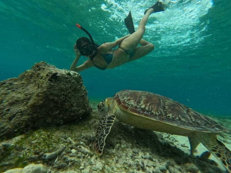 gili island: sunset and snorkeling tour + GoPro photoshoot - Final Thoughts