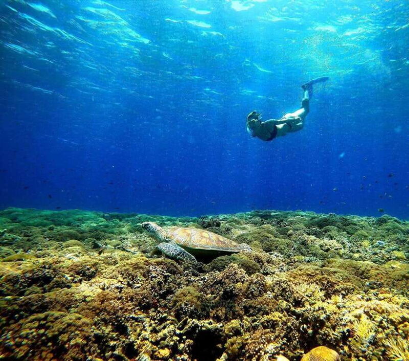 Gili island sunset & snorkeling tour gopro included - Final Thoughts: Who Is This Tour Best For?