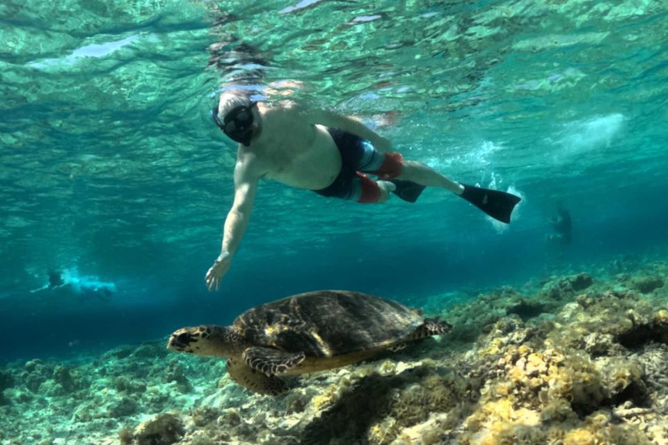 Gili Islands: 3 Island One-Day Trip With Snorkeling - Highlights of the Trip