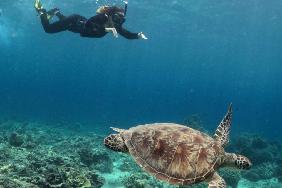 Gili Islands: 3 Island One-Day Trip With Snorkeling - Exploring the Islands