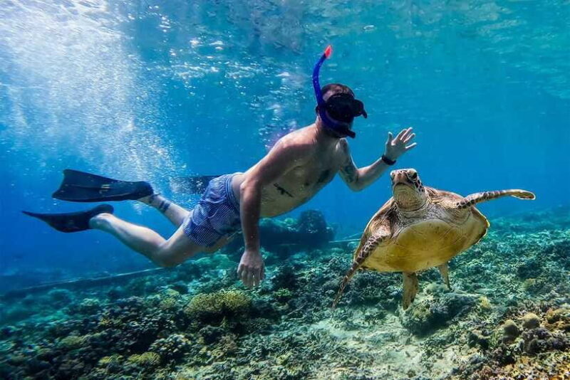 Gili Islands Lombok: 4 Hour Private Group Snorkeling Trip - Final Thoughts