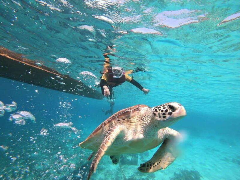 Gili Islands: Private or Shared Snorkeling Boat Trip - How the Tour Starts