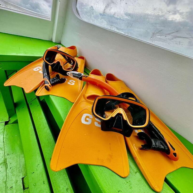Gili Islands: Private or Shared Snorkeling Boat Trip - Wildlife and Marine Life