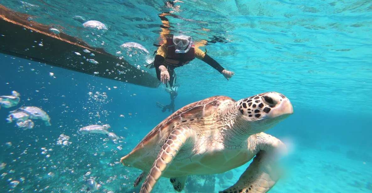 Gili Islands: Private or Shared Snorkeling Boat Trip - Itinerary and Activities