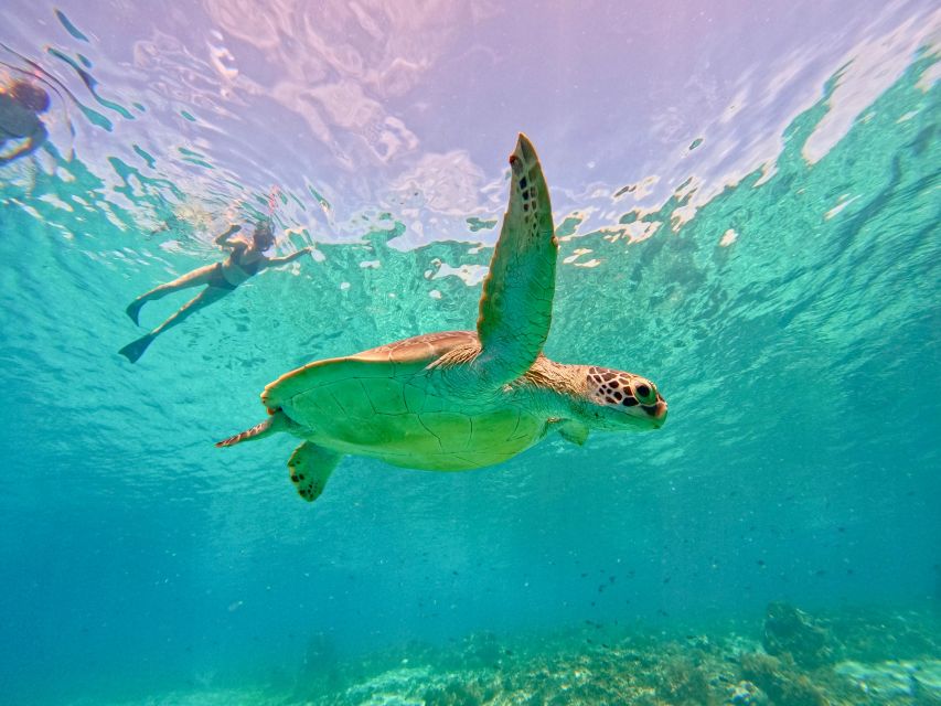 Gili Islands: Private or Shared Snorkeling Boat Trip - GoPro Camera and Life Vest