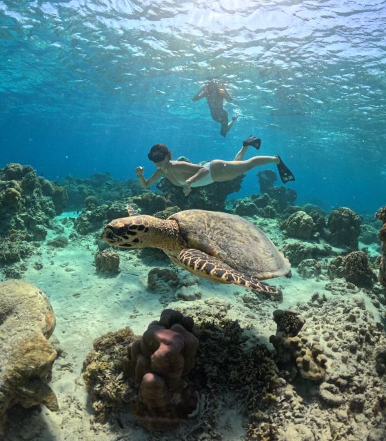 Gili Islands: Private or Shared Snorkeling Boat Trip - Exclusions and Restrictions