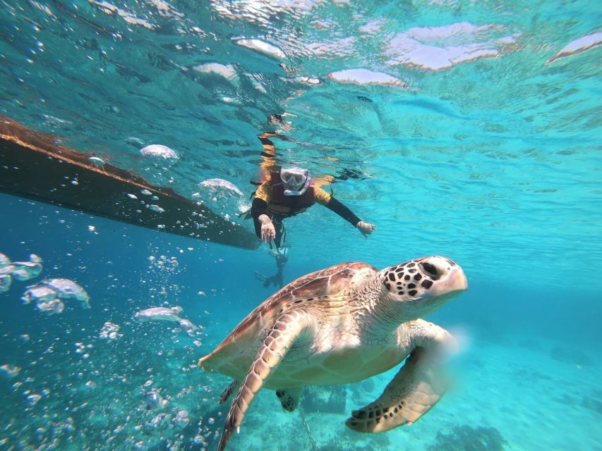 Gili Islands: Private or Shared Snorkeling Boat Trip - What to Bring and Expectations