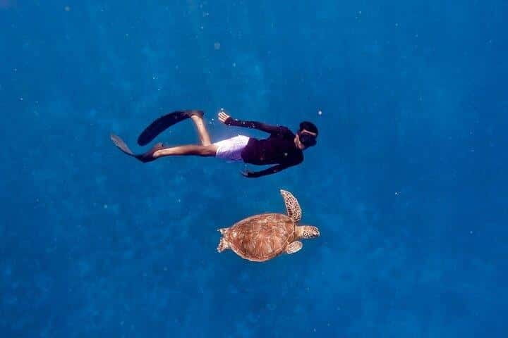 Gili Islands: Private Snorkeling Boat Tour with Local Guide - Key Points