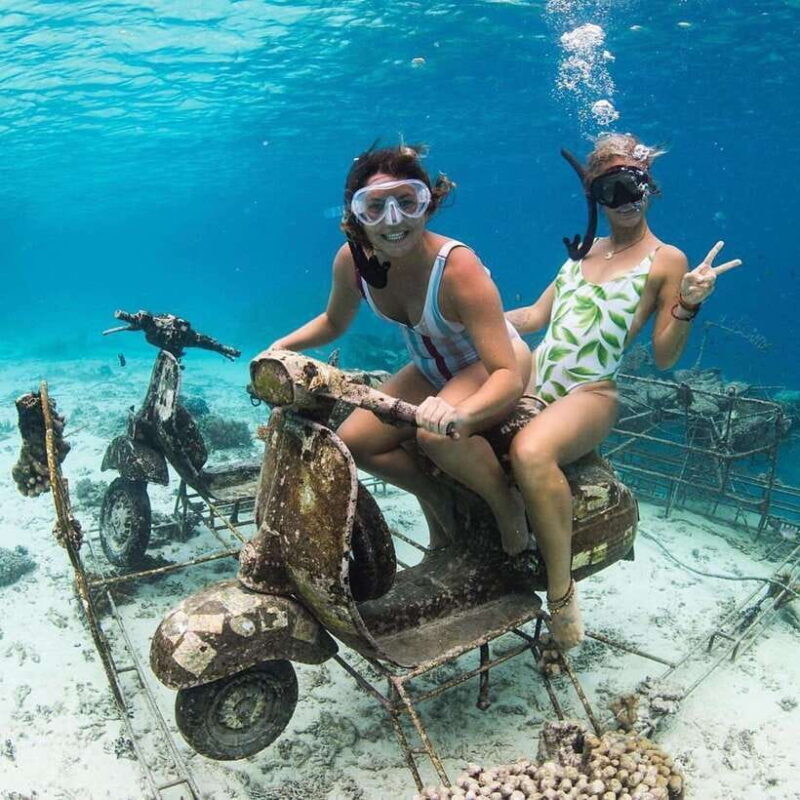 Gili Islands: Private Snorkeling Boat Tour with Local Guide - The Cost and Value