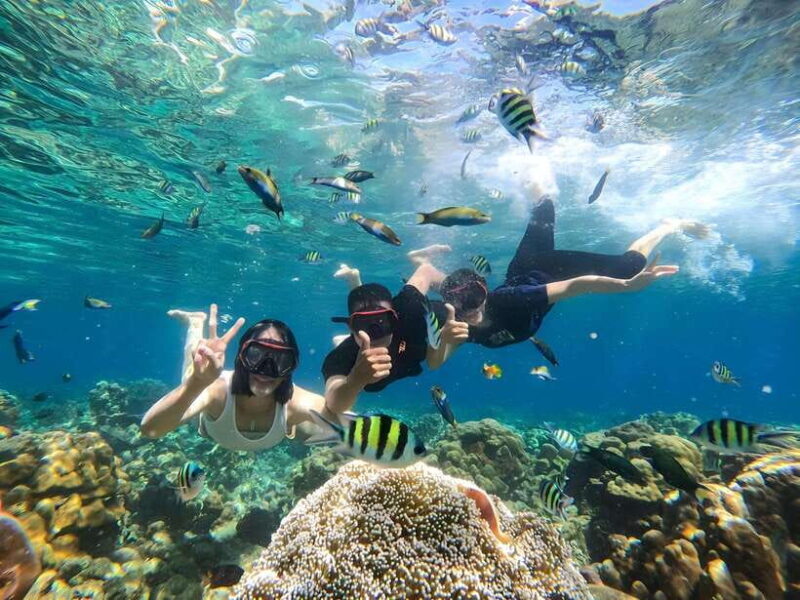 Gili Islands: Private Snorkeling Boat Tour with Local Guide - Final Thoughts