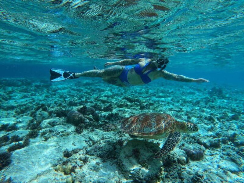 Gili Islands Snorkeling Day Trip with private speedboat - FAQ