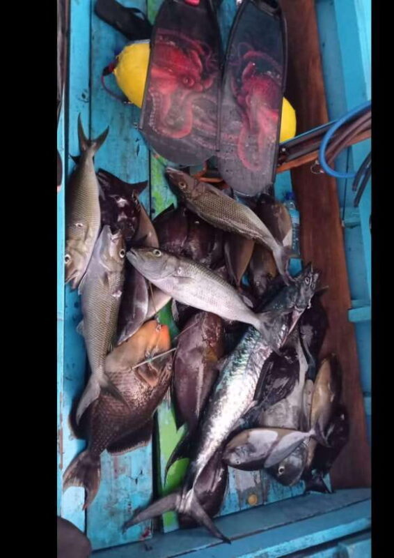 Gili Islands: Spearfishing Tour - The Sum Up